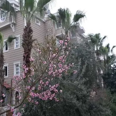 Boutique Nergiz Hotel Side