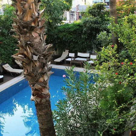 Hotell Boutique Nergiz 3*